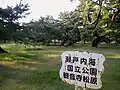 観音寺松原
