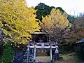 全景