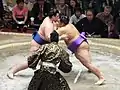明治神宮例祭奉祝 奉納70回全日本力士選士権大会 相手は琴勇輝関（2011年10月3日撮影）