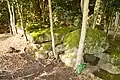石室天井石