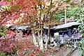 紅葉の本堂