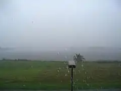 海辺の白い降水雲