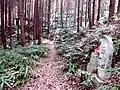 手前より43番44番45番