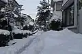 2010年の雪のブルーベリーロード