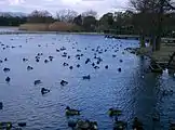 昆陽池（昆陽池公園）（2007年3月）