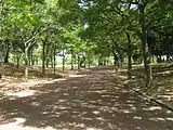 荒山公園（2008年8月）