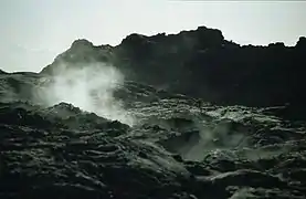 2007年