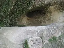 ネアンデルタール博物館