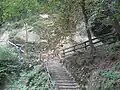 ネアンデルタール博物館