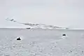 北東海岸のクレンケル湾