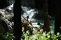 滝つぼは格好の水浴スポットとなっている。
