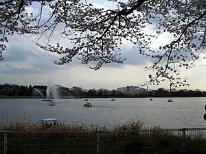 昭和沼（久喜菖蒲公園）（2010年4月）