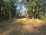 後円部より前方部方向を望む。
