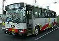 一般路線バス（南海バスカラー）日野・レインボーRJ