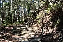 尾鷲市側の山道（2015年3月）