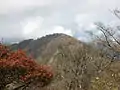 檜洞丸付近より見た熊笹ノ峰