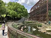 動物園（2021年6月）