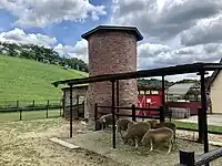 動物園（2021年6月）