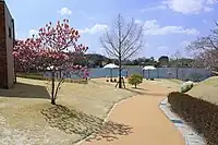芝生広場から鞍ケ池方面を望む。（2019年4月）