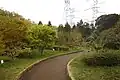 県木の広場