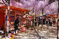 開花時には「黒木大藤まつり」が開催され出店の屋台が出る。2013年4月22日撮影。