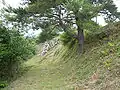 帯曲輪