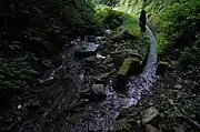 旧ルートを流れる小川は、水沢川から取水している