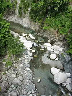 玄倉川 2007年6月17日撮影