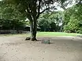 本丸御殿跡