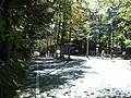 旧軽井沢（軽井沢銀座入口）付近から続く松並木。右側が草軽の線路跡（三笠方面から軽井沢駅方向を望む）