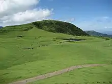 草千里ヶ浜の草原