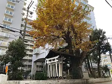 楠木大神