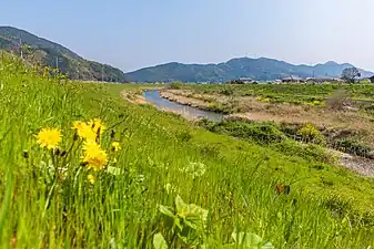 桑野川の名を冠する中流部 桑野町