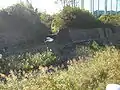 矢坪沢（左手）