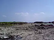 荒崎