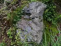 丹波層の岩盤(花脊)