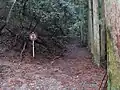 醍醐山の車両が通行できない区間