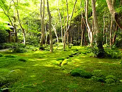 西芳寺(苔寺)