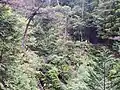 高橋精錬所跡と沈殿工場跡