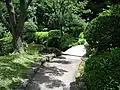 旧安田庭園 散策