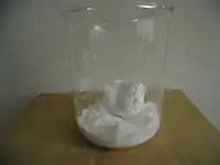 {{{画像alt2}}}