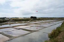 塩田