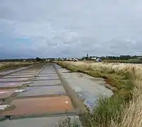 塩田