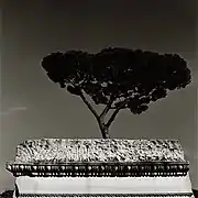 ローマ