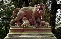 犬