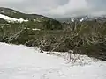 羅臼湖への途中にある雪渓