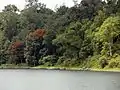 南岸