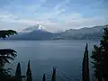 ブレンゾーネより