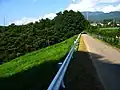 堤頂道路道幅は乗用車が一台通れる程度。