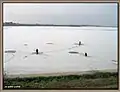 2009年、冬のモリイ湖